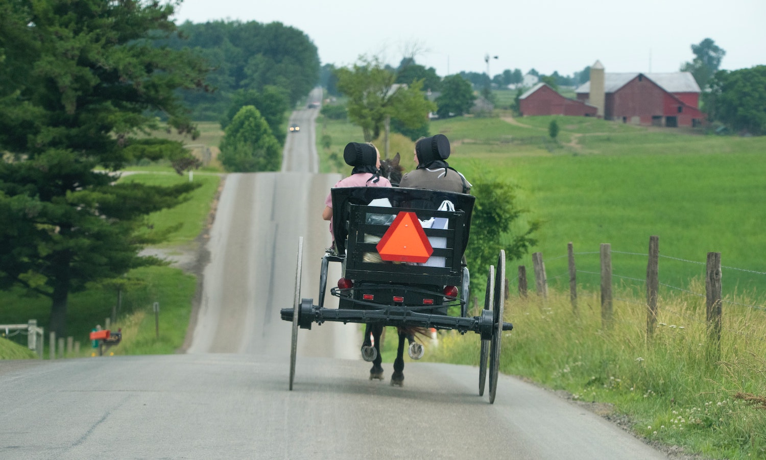 2 Amish women on a horse drawn buggy photographed from behind