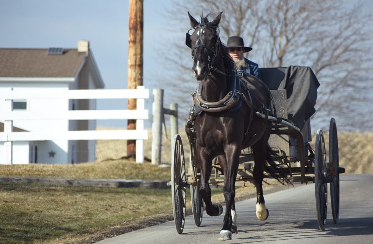 Amish vs Mennonite: What’s the Difference?