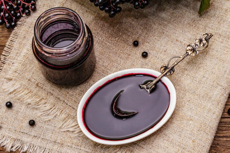 Elderberry Syrup Recipe for Toddlers