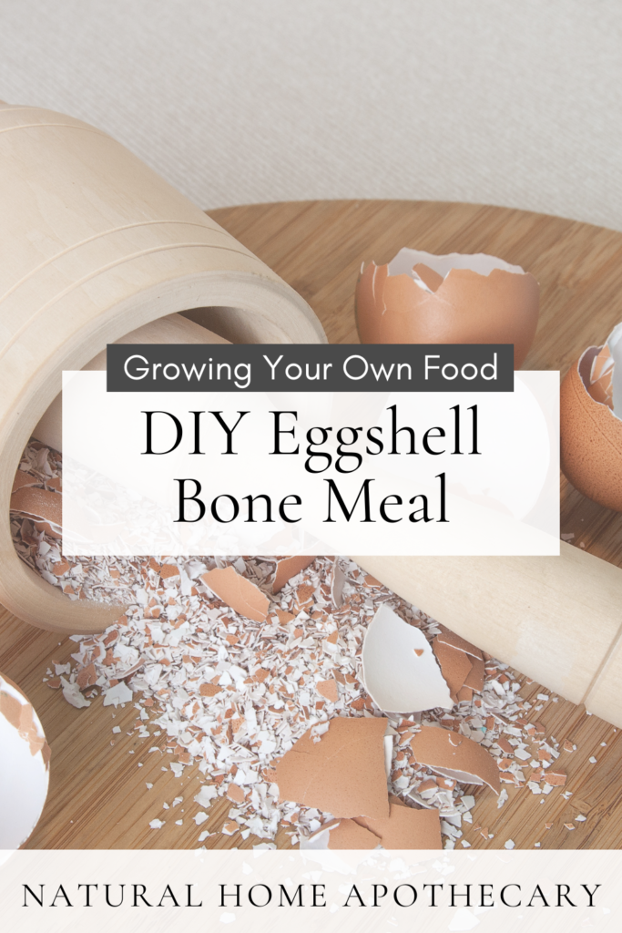 DIY Eggshell Bone Meal