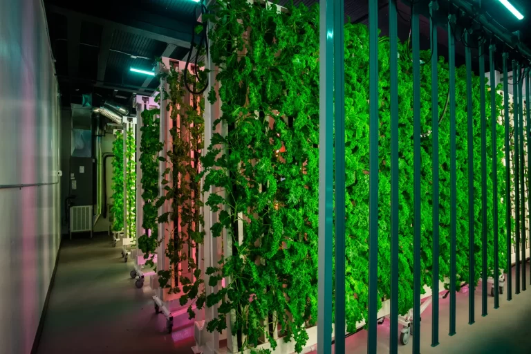 Best Commercial Systems for Vertical Hydroponic Farming [2024]