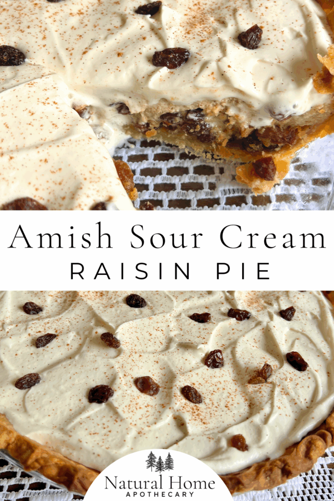 Amish sour cream raisin pie on a white crochet placemat