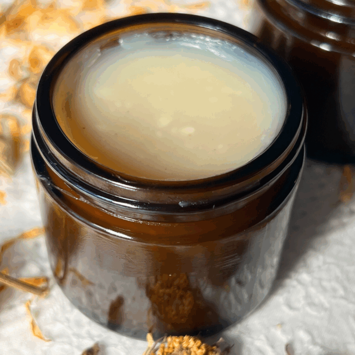 DIY Calendula Salve for Chapped, Itchy Skin