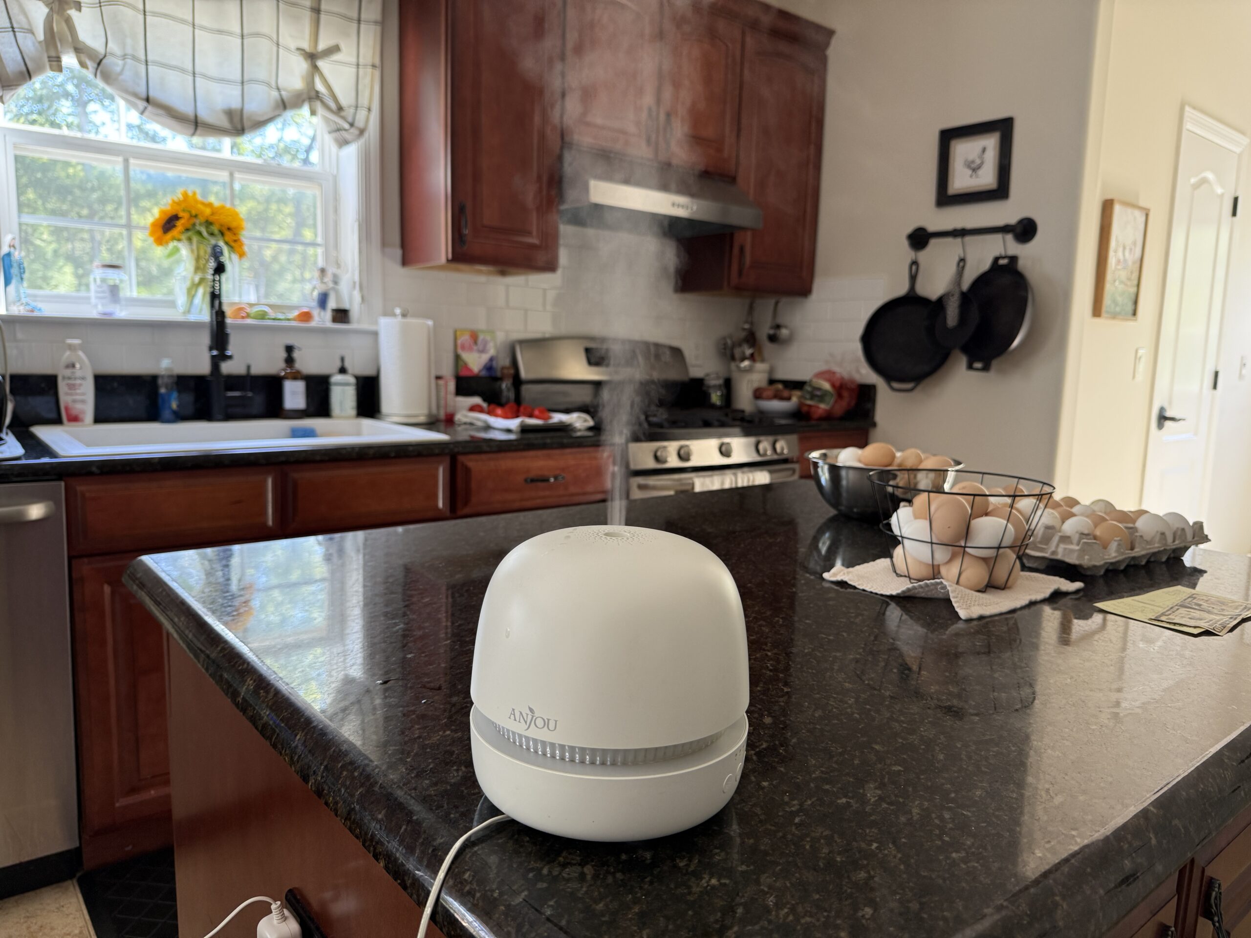 Beginner’s Guide to Diffusing Essential Oils (Tips, Cleaning, and Troubleshooting)