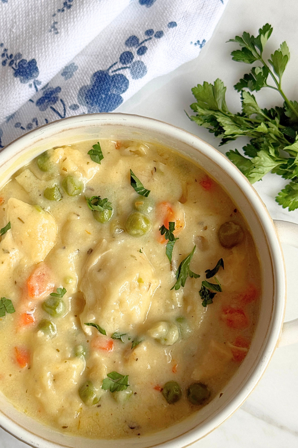 Homemade Chicken and Dumplings