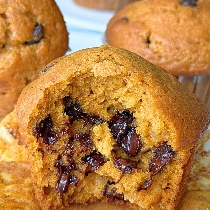 Pumpkin Chocolate Chip Muffins