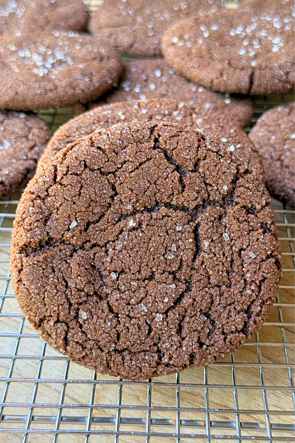 Chocolate Sugar Cookies