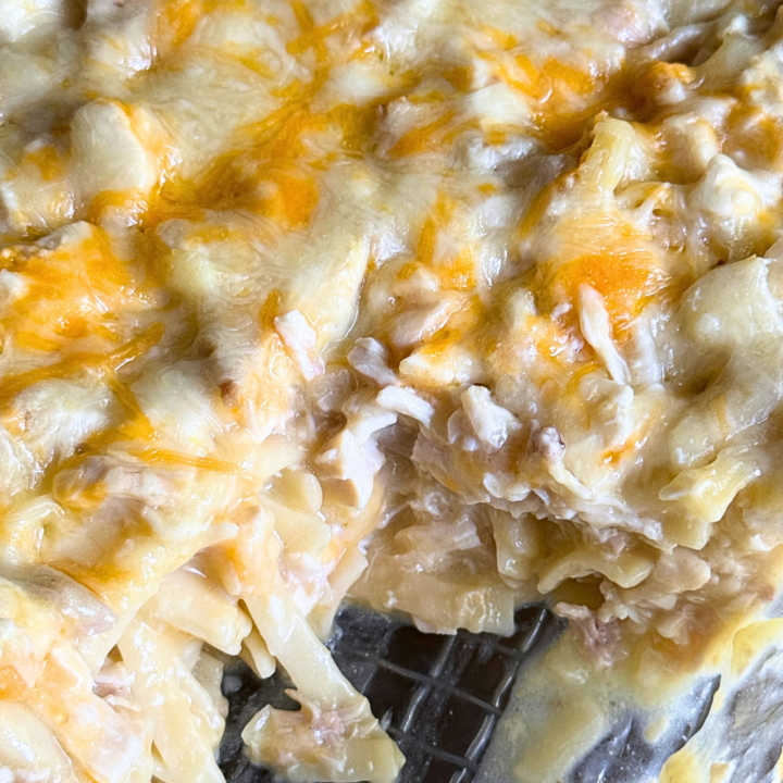 Easy Chicken Tetrazzini